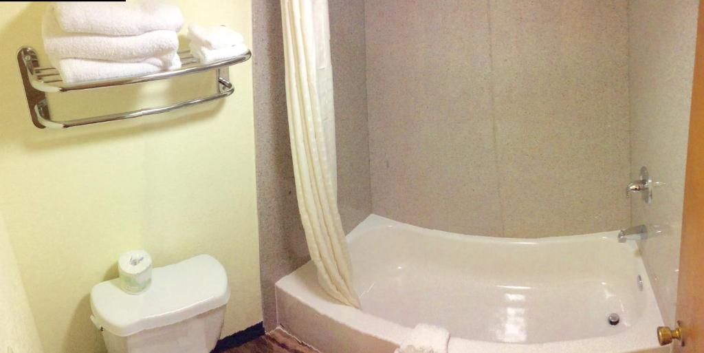 Regency Inn Iola - image 5