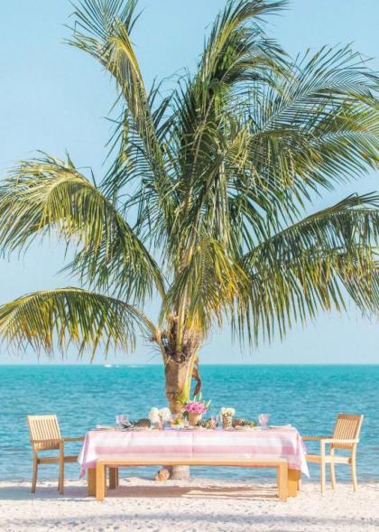 The Islands of Islamorada - image 9