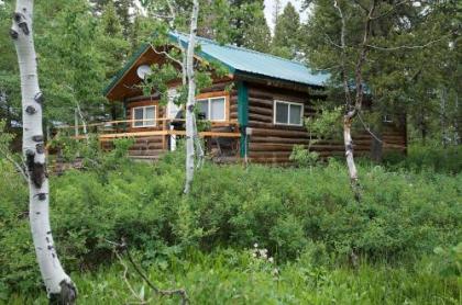 Holiday homes in Island Park Idaho