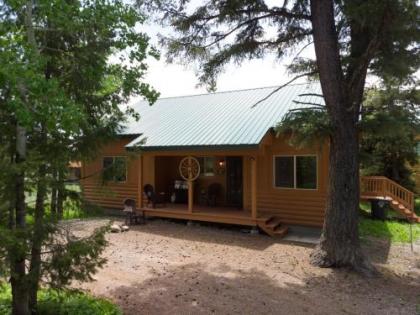 Holiday homes in Island Park Idaho