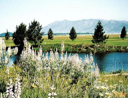 Condo Style Resort at Island Park Near Yellowstone - image 5