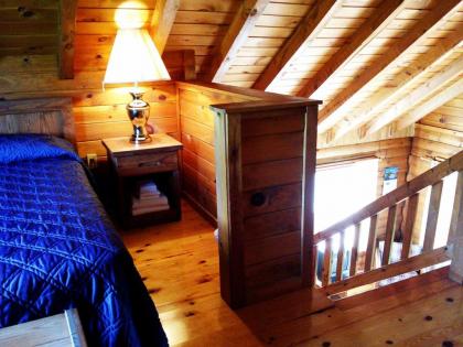 Unity College: Sky Lodge - image 6