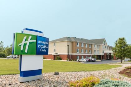 Holiday Inn Express Jackson an IHG Hotel Jackson Michigan