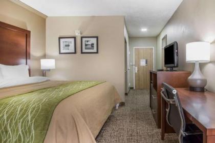 Comfort Inn Jackson - image 21