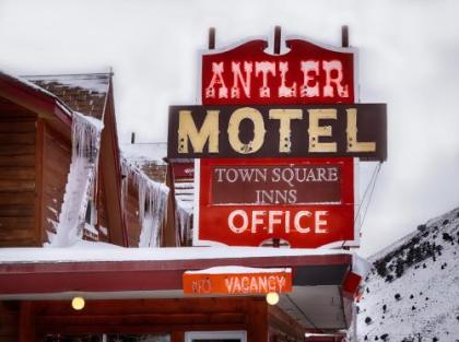 Antler Inn - image 3