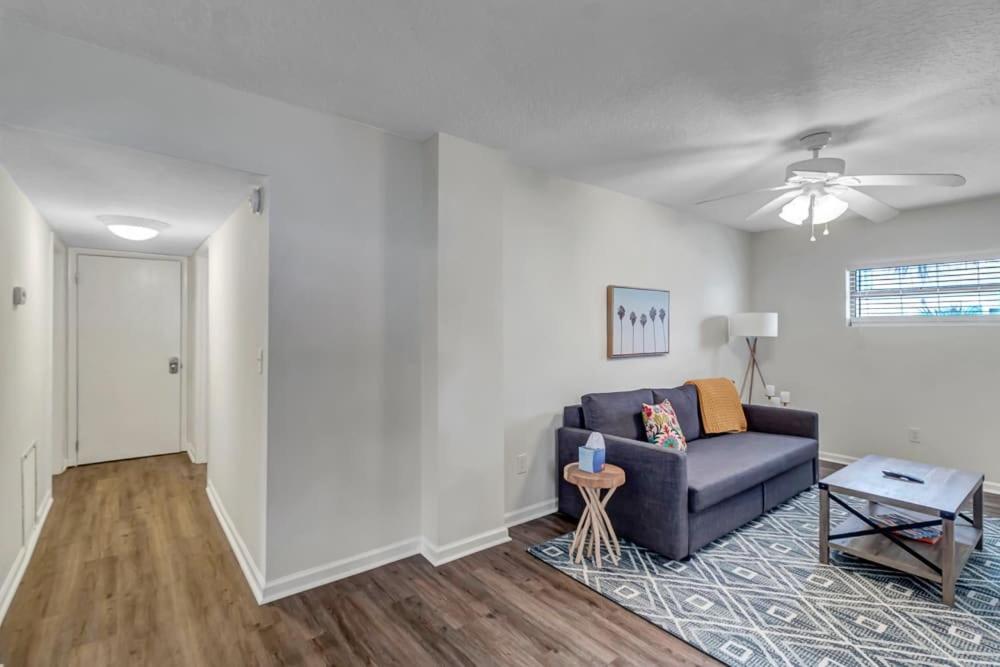 Amazing 1 BR apt - 1 block from Jax Beach! - image 5