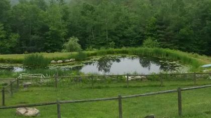 Cold Moon Farm B&B - image 2