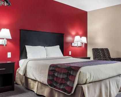 Econo Lodge Jamestown - image 10