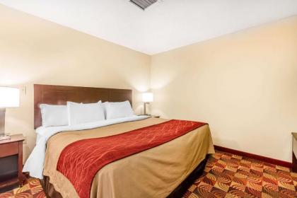 Comfort Inn & Suites Jasper Hwy 78 West - image 4