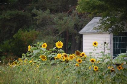 Clary Lake Bed and Breakfast - image 15