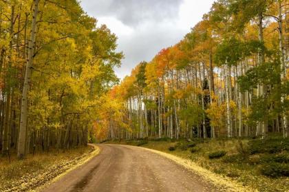 Large Cabin with Mtn Views Near Jefferson Lake! - image 12
