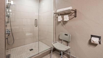 Best Western Plus North Joliet - image 10