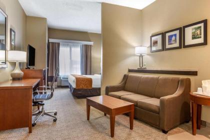 Comfort Suites Jonesboro University Area - image 9