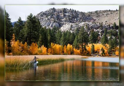 Lake Front Cabins - image 7