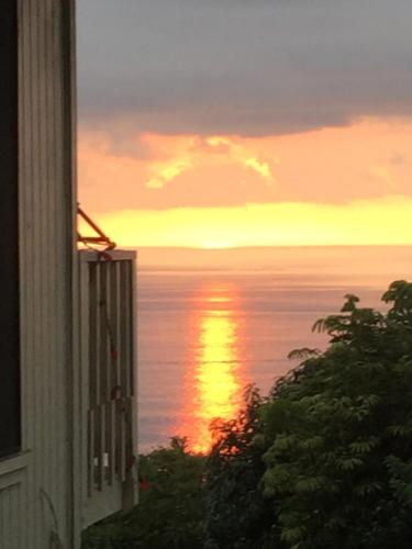 Simple Kona Guest House - main image