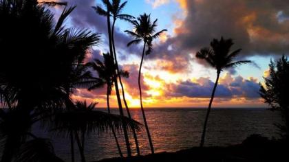 Kona Reef by Casago - image 15