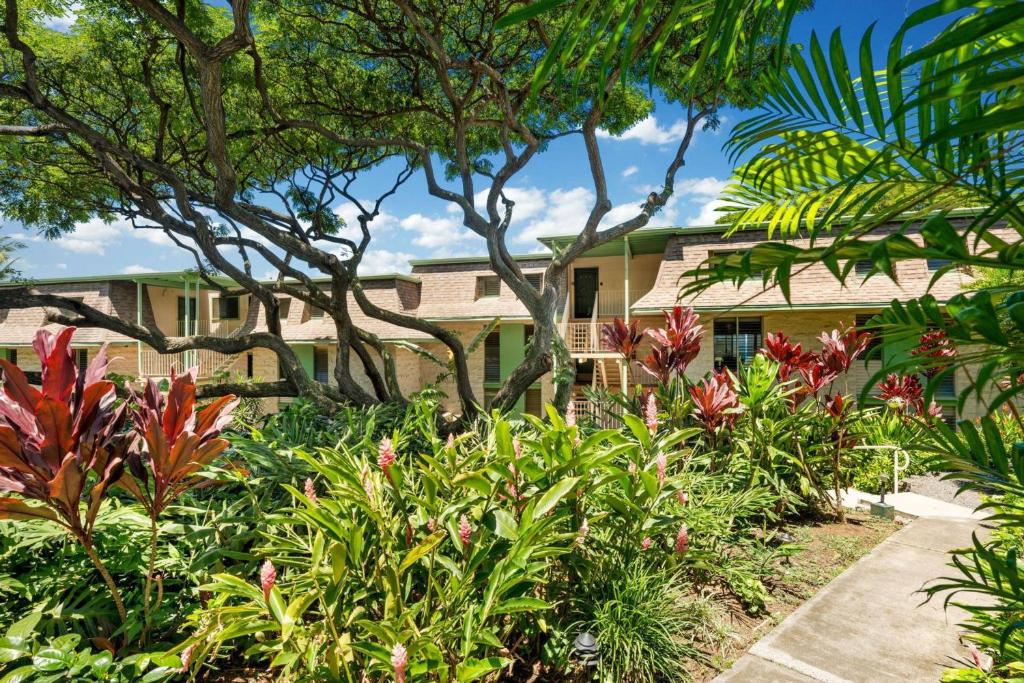 Big Island Keauhou Akahi #311 by Coldwell Banker Island Vacations - main image