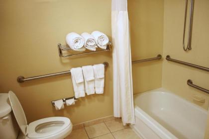 Hilton Garden Inn Kankakee - image 2