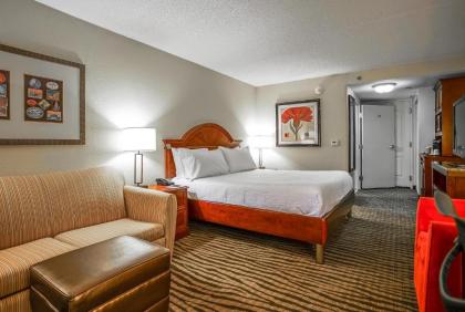 Hilton Garden Inn Kankakee - image 9