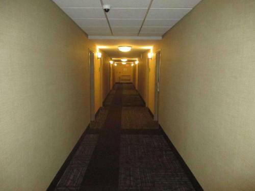 SureStay Plus Hotel by Best Western Kansas City Northeast - image 2
