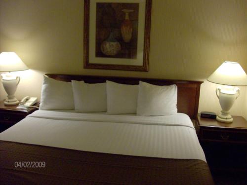 SureStay Plus Hotel by Best Western Kansas City Northeast - image 5