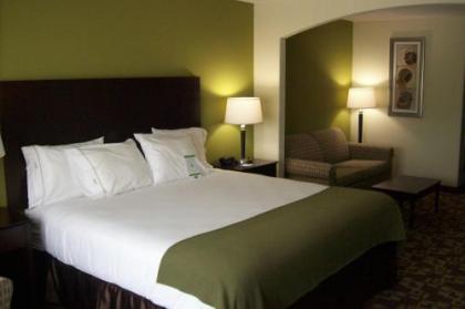 Holiday Inn Express Hotel & Suites Kansas City Sports Complex an IHG Hotel - image 2