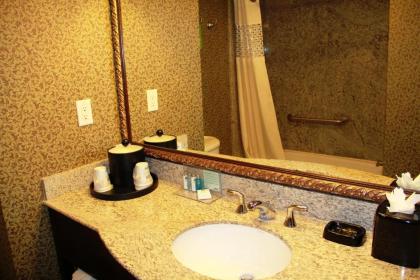 Hampton Inn and Suites Houston-Katy - image 21