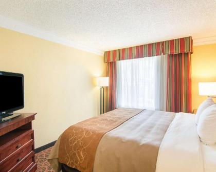 Comfort Inn & Suites Houston West-Katy - image 3