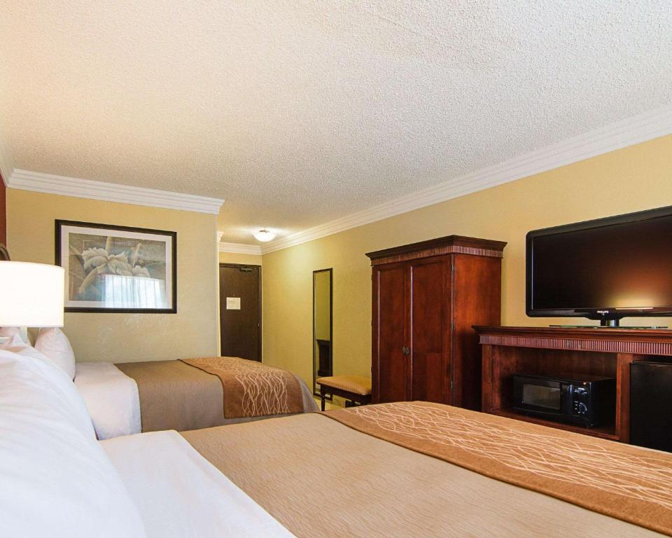 Comfort Inn & Suites Houston West-Katy - image 6