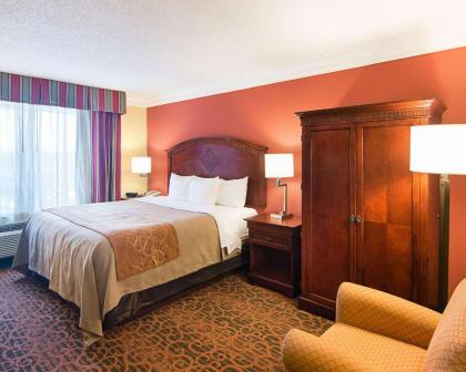 Comfort Inn & Suites Houston West-Katy - image 8