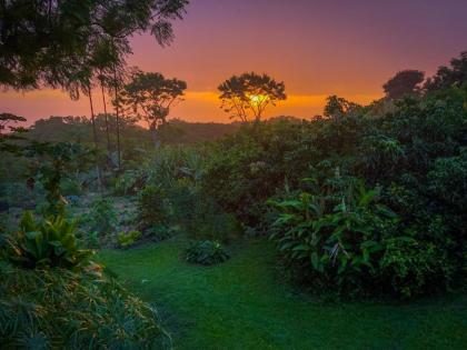 Gingerhill Farm Retreat - image 6