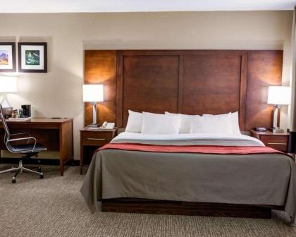 Comfort Inn Kearney - Liberty - image 12