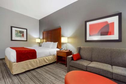 Comfort Inn Kearney I-80 - image 7