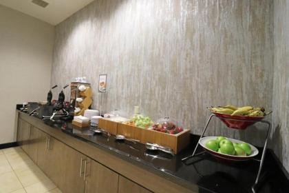 Fairfield Inn & Suites by Marriott Kearney - image 2