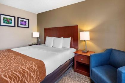 Comfort Inn & Suites Kelso - Longview - image 8