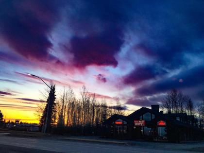 Kenai Airport Hotel - image 3