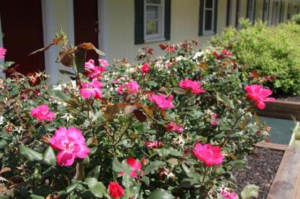 Lodge at Kennebunk - image 21