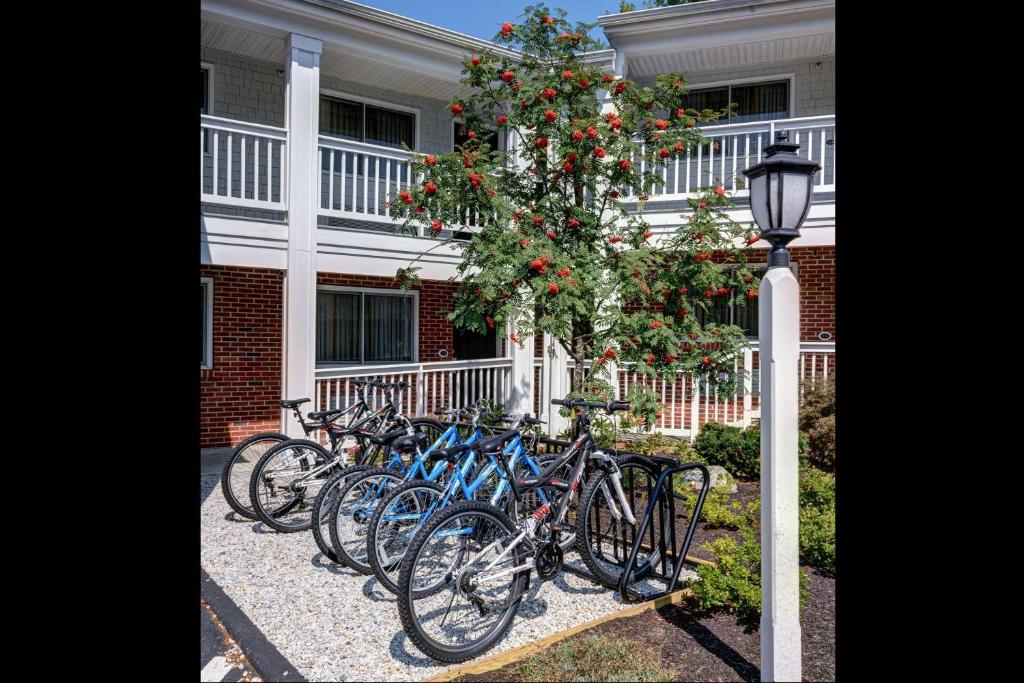 Port Inn & Suites Kennebunk Ascend Hotel Collection - image 3