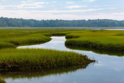 The Cottage at Kennebunk - image 6