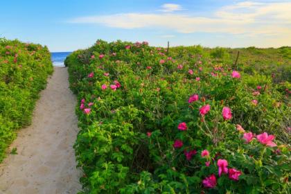 Charming Jacuzzi-Suite - Walk to Parsons Beach! - image 15