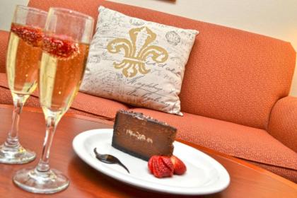 Hilton Garden Inn New Orleans Airport - image 14