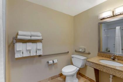 Comfort Inn Kennesaw - image 10