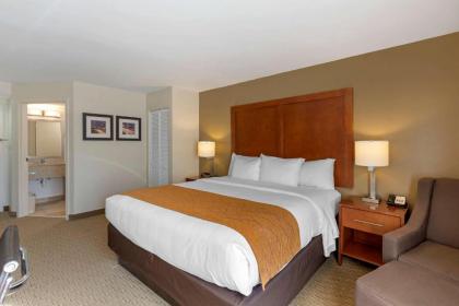 Comfort Inn Kennesaw - image 11