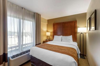 Comfort Inn Kennesaw - image 14