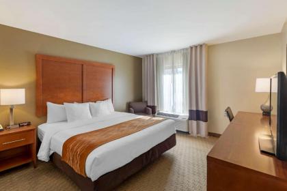 Comfort Inn Kennesaw - image 6