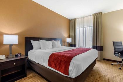 Comfort Inn & Suites Kenosha - image 10