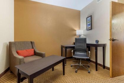 Comfort Inn & Suites Kenosha - image 13