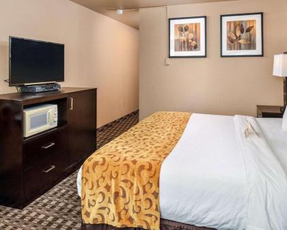 Quality Inn Hotel Kent - image 4