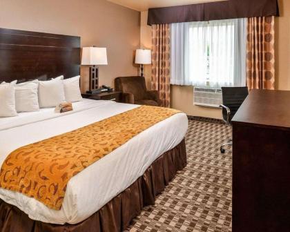 Quality Inn Hotel Kent - image 8