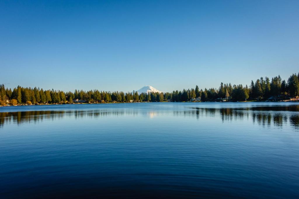 Mt. Rainier view from Lake Morton - image 4